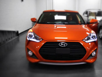 Andrew Veale bought his 2013 Veloster Turbo based on performance and that it had enough room for his three dogs.